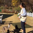 행복한일상 이미지