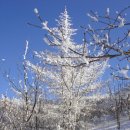 단양 소백산(국립공원) 산행 알림 이미지