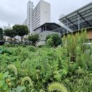 부영1차 아파트 앞 이미지