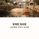 이야기속으로 | 청계천 잉어킹, 신비로운 이야기 속으로 지금 확인