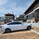 상주애견 이미지