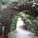 “뒤집힌 한반도를 찾아라” SNS 달군 제주 남원 ‘큰엉’ 포토존 명당
