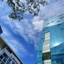 한글을 활용한 문서디자인 이미지