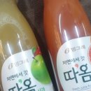 갓 따옴 이미지