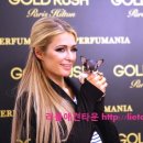 리틀애견타운 이미지