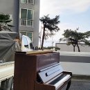 양지마을아파트 이미지