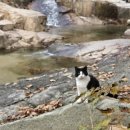 송추한의원 이미지