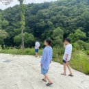 포시즌풀하우스 | 가평 우행시 여행기록(1) 가평 막국수 맛집, 가평 펜션 에어비앤비 숙소 추천