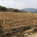 주천면 덕촌마을 이미지