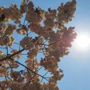 샤인유의원 이미지