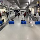 용인대 도곡 태권도장 이미지