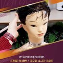 헤어커트 기본 이미지