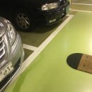 애니카랜드 동춘점 이미지