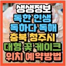 가토주니 | 독해 청주 성안길 명소 대형 꽃 케이크 브랜드 가토주니(+주문방법꿀팁 케이크로 3층 건물주가 된 성공...