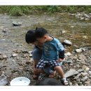 청계목장 이미지