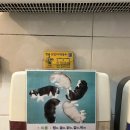 청솔닭갈비 이미지