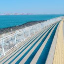 나래분식 | 시흥 아이와 가볼만한곳 안산 근처 대부도 시화나래휴게소