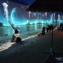 우주의행성 | 행성으로 떠나는 이색 미디어아트 &#34;나주 우주드림&#34;