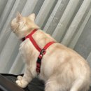 메이드바이알 | [미용실 후기] 메이드 바이알 헤어살롱 + 1년후 히피펌 후기