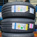 타이어나라 이미지