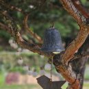 돌트미스테이 이미지