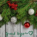 오늘성형외과의원 이미지