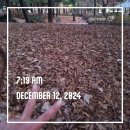 경기도 수원시 권선구 권중로 171 이미지