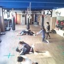 한미체육관 이미지