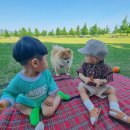 공항교강변공원 이미지