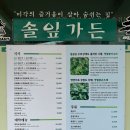 솔잎가든 | 강원도 영월 여행 맛집, 솔잎가든, 곤드레 솥밥
