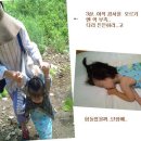 청솔매 이미지