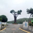 나진초등학교 이미지