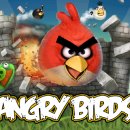 Angry Bird & 할로윈 & 크리스 마스 버젼.. 이미지