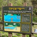 가마을길 | 안동 가볼만한곳 선성수상길 예끼마을 주차 후기