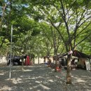 청도 힐링오토캠핑장 이미지