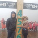차마고원