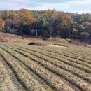 산아래농장 이미지