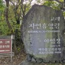 교래자연휴양림 이미지