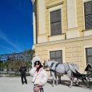 궁전하우스 | 오스트리아 비엔나 여행 2일차: 쇤부른 궁전, 카페 데멜, 빈 시청, 립스오브비엔나, 비엔나 오페라하우스