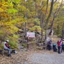 대간&amp; 9정맥 완주기념 축하 종주 이미지