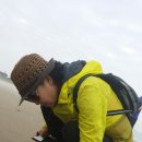 사구해수욕장2 이미지