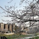 와우 빌리아드 클럽 이미지