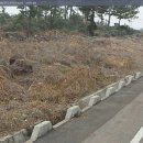 수산리-8 이미지