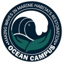 경북컴퓨터세탁 | 스쿠버다이빙 인턴십, 오션 캠퍼스 실제 후기: 사용 비용, 교통비용, 일정