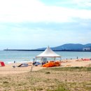 옥계해수욕장(숲) 이미지