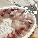 부산 광안리 회 포장 추천 소망상회 밀레니엄회센터 맛집