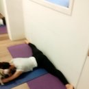 성인 발레스트레칭 이미지