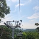 사다새 | 로스트밸리 아이 방문전 필독 , 대기 꿀팁