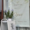 플레트르 네이버블로그