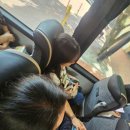 성현미트 이미지